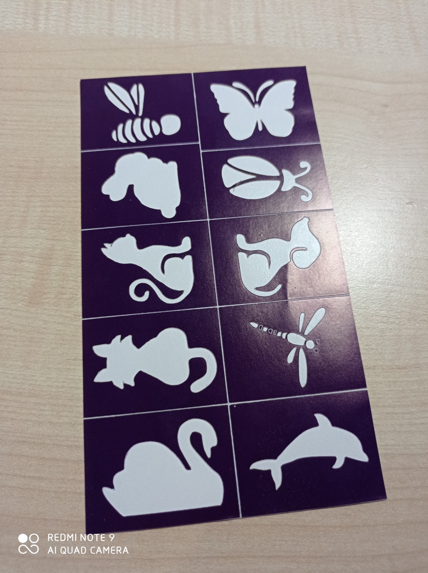 ape, farfalla, coniglio, coccinella, 2 gatti, un cane, libellula, cigno, delfino